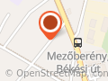 Anan Festmény és Ékszer