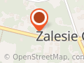 Zaleśnik