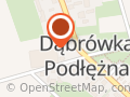 ZAKŁAD PRODUKCYJNO HANDLOWO USŁUGOWY DREW SEDS