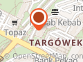 Bluecar. Sprzedaż Samochodów. Król P.