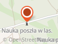 Galeria Finansów Justyna Oszczepalska