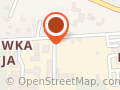 Bambi. Hurtownia Lodów, Mrożonek i Ryb