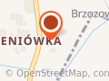 Planeta Ptaków. Wojtanowska K.
