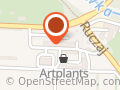 Artplants. Rośliny ozdobne, drzewa, krzewy