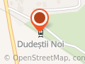 Dudeştii Noi
