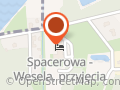 Spacerowa