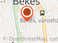 Tarka rét virág & dekor