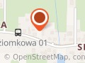 Auto-Chmielewski