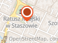 DETEKTYW KOCZANOWSKI STASZÓW