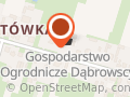 Gospodarstwo Ogrodnicze Dorota Dąbrowska Kwiaty zioła sadzonki warzyw