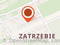 TeamBear Bartosz Rówienicz