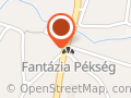 Viktória Virágműhely - Abaújszántó