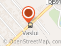 Vieru Independent Auto Service S.r.l