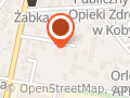 Producent części do samochodów ciężarowych - Lamiro