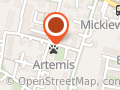 ARTEMIS Gabinet Weterynaryjny Dorota Mikus