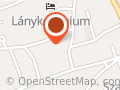 Arany Bambusz