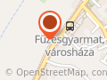 Füzes Gyógyszertár