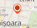 Florarie Timisoara - Bloom Atelier Floral