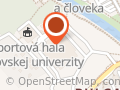 Mestská správa služieb