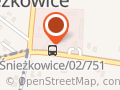 TRAWIS WIŚNIEWSKI