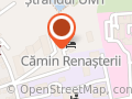 Camin Renaşterii
