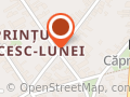 Service Clean Spalatorie Covoare Timisoara. Curatatorie Covoare cu Livrare Timisoara