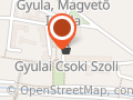 Budapesti Mozgásszervi Magánklinika - Gyula
