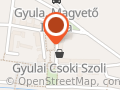 Gyulai Áfész-Coop Zrt.