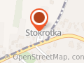 Stokrotka