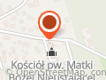 Kamelia. Firląg Dorota