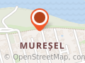 CLEESCU P. MIHAELA - EXPERT CONTABIL