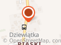 Firma Handlowo Usługowa Auto-Max Grzegorz Spyra