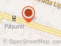 RapidAuto