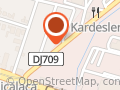 DanyCop Trans Arad