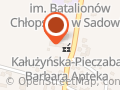 Poczta Polska