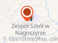 Publiczna Szkoła Podstawowa w Nagoszynie