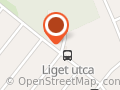 Hotel Liget
