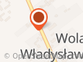 Publiczna Szkoła Podstawowa w Woli Władysławowskiej