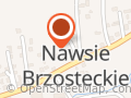 Serwis Samochodowy Janusz Kosowski