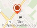 Market Dino