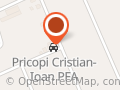 Pricopi Cristian-Ioan PFA