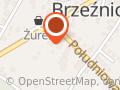 Auto-Handel