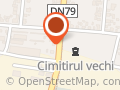 Calla Chisineu Cris