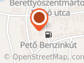 Fábián Istvánné könyvvizsgáló