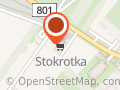 Stokrotka