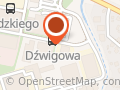LUCCHINI POLAND SP Z O O