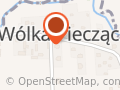 AUTO-LINKI NAPRAWA I REGENERACJA WALDEMAR CZERWIŃSKI