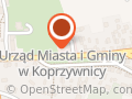 PZU Ubezpieczenia Koprzywnica - Agent Anna Zeliaś