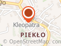 APTEKA JANA PAWŁA II DAJANA ŻYWAR-NIERODA