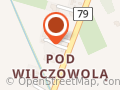 Zakład Drzewny Tartak Wasiak Stefan